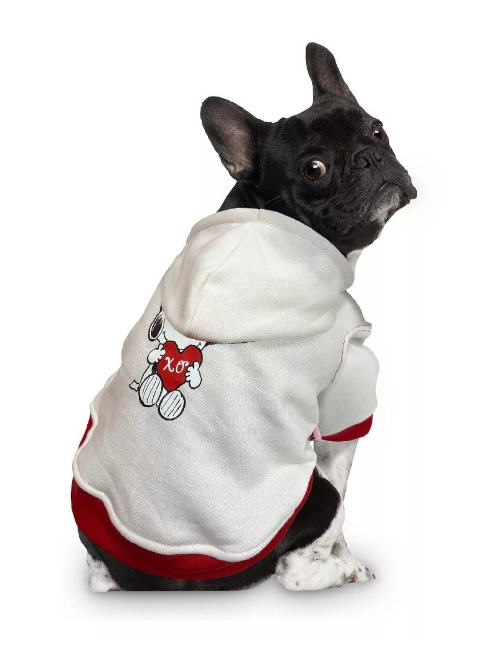 Peanuts Snoopy & Woodstock Heart Pullover - White with Red & Pink Hearts